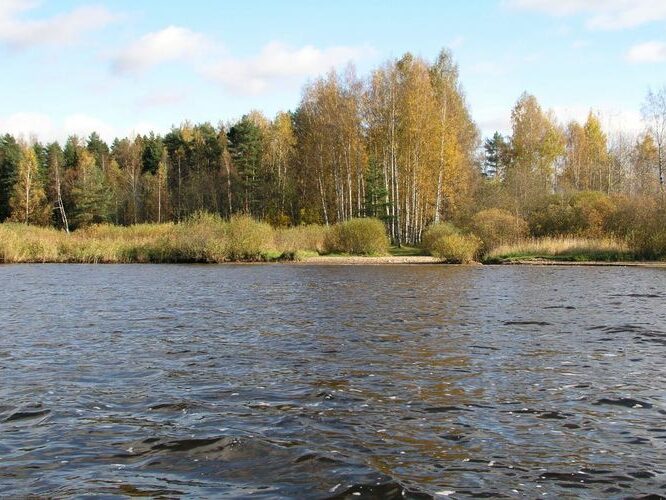 Maakond: Võrumaa Veekogu nimi: Vagula järv Pildistamise aeg: 16. oktoober 2003 Pildistaja: H. Timm Pildistamise koht: teadmata Asimuut: