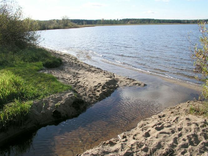 Maakond: Võrumaa Veekogu nimi: Vagula järv Pildistamise aeg: 16. oktoober 2003 Pildistaja: H. Timm Pildistamise koht: teadmata Asimuut: