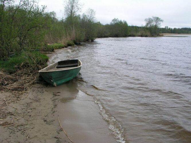 Maakond: Võrumaa Veekogu nimi: Vagula järv Pildistamise aeg: 7. mai 2008 Pildistaja: H. Timm Pildistamise koht: teadmata Asimuut: