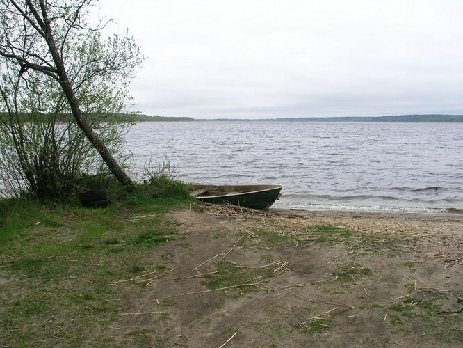 Maakond: Võrumaa Veekogu nimi: Vagula järv Pildistamise aeg: 7. mai 2008 Pildistaja: H. Timm Pildistamise koht: teadmata Asimuut: