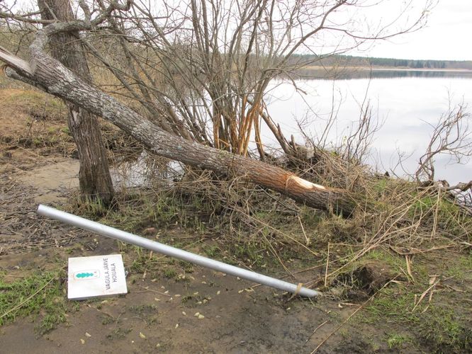 Maakond: Võrumaa Veekogu nimi: Vagula järv Pildistamise aeg: 4. mai 2011 Pildistaja: H. Timm Pildistamise koht: teadmata Asimuut: