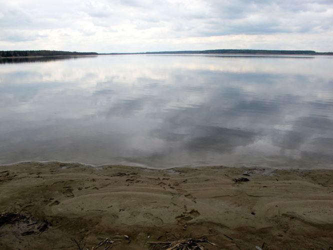 Maakond: Võrumaa Veekogu nimi: Vagula järv Pildistamise aeg: 4. mai 2011 Pildistaja: H. Timm Pildistamise koht: teadmata Asimuut: