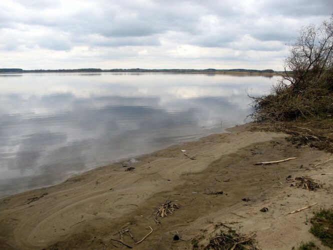 Maakond: Võrumaa Veekogu nimi: Vagula järv Pildistamise aeg: 4. mai 2011 Pildistaja: H. Timm Pildistamise koht: teadmata Asimuut: