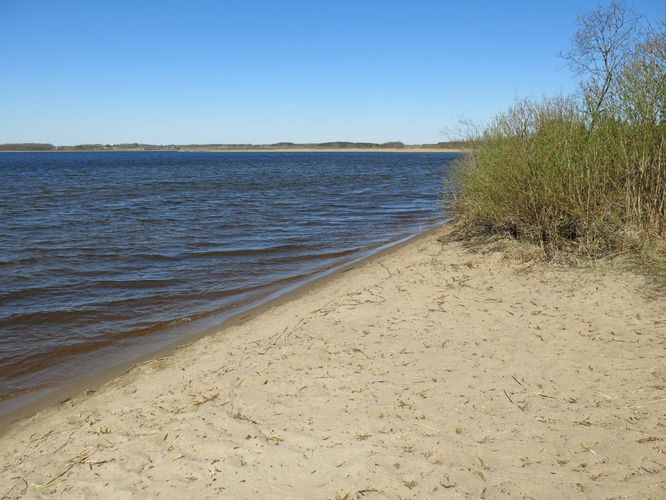 Maakond: Võrumaa Veekogu nimi: Vagula järv Pildistamise aeg: 23. aprill 2014 Pildistaja: H. Timm Pildistamise koht: teadmata Asimuut: