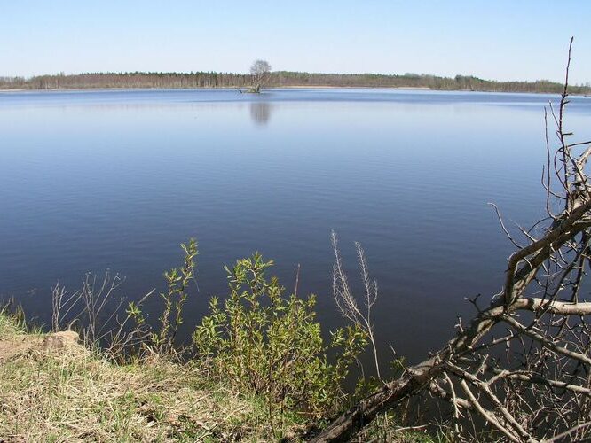 Maakond: Võrumaa Veekogu nimi: Vahtsõkivi oja Pildistamise aeg: 2. mai 2009 Pildistaja: H. Timm Pildistamise koht: Vastsekivi paisjärv Asimuut: