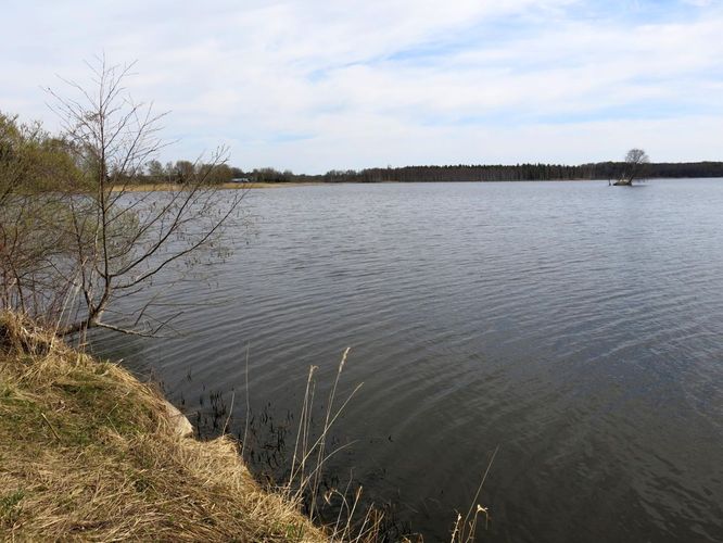 Maakond: Valgamaa Veekogu nimi: Vahtsõkivi oja Pildistamise aeg: 7. mai 2013 Pildistaja: H. Timm Pildistamise koht: Vastsekivi paisjärv Asimuut: