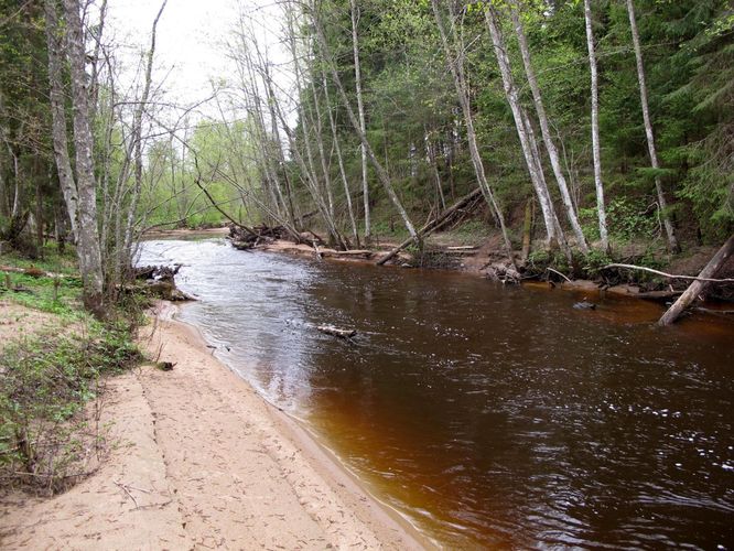 Maakond: Võrumaa Veekogu nimi: Vaidava jõgi Pildistamise aeg: 7. mai 2012 Pildistaja: H. Timm Pildistamise koht: enne Peeli suuet Asimuut: