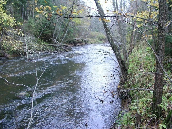 Maakond: Võrumaa Veekogu nimi: Vaidva jõgi Pildistamise aeg: 19. oktoober 2004 Pildistaja: H. Timm Pildistamise koht: enne Peeli suuet Asimuut: