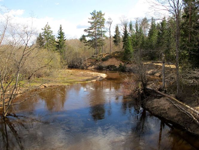 Maakond: Võrumaa Veekogu nimi: Vaidva jõgi Pildistamise aeg: 25. aprill 2010 Pildistaja: H. Timm Pildistamise koht: sild alamjooksul Asimuut: