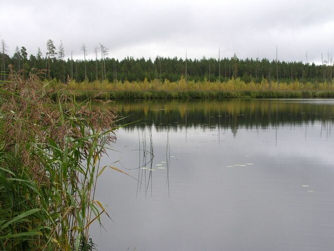 Maakond: Valgamaa Veekogu nimi: Väiku Apja järv Pildistamise aeg: 15. september 2009 Pildistaja: H. Timm Pildistamise koht: teadmata Asimuut: