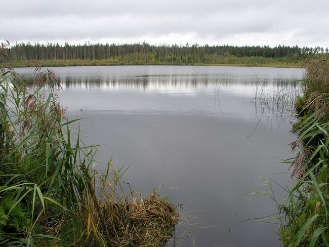 Maakond: Valgamaa Veekogu nimi: Väiku Apja järv Pildistamise aeg: 15. september 2009 Pildistaja: H. Timm Pildistamise koht: teadmata Asimuut: