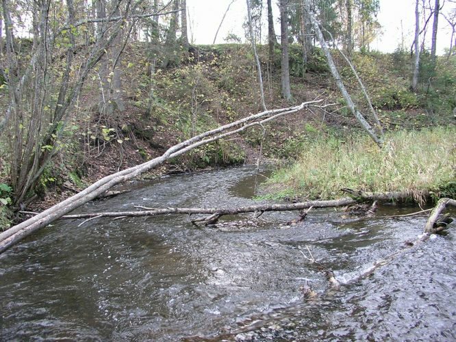 Maakond: Valgamaa Veekogu nimi: Väike Emajõgi Pildistamise aeg: 24. oktoober 2007 Pildistaja: H. Timm Pildistamise koht: Märdi Asimuut: