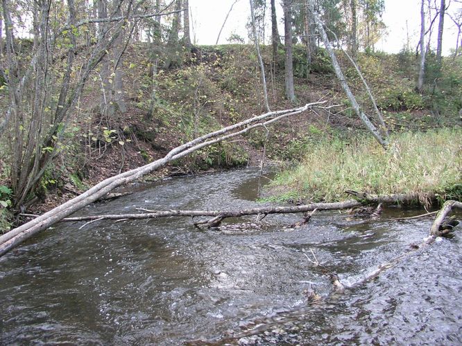 Maakond: Valgamaa Veekogu nimi: Väike Emajõgi Pildistamise aeg: 24. oktoober 2007 Pildistaja: H. Timm Pildistamise koht: Märdi Asimuut: