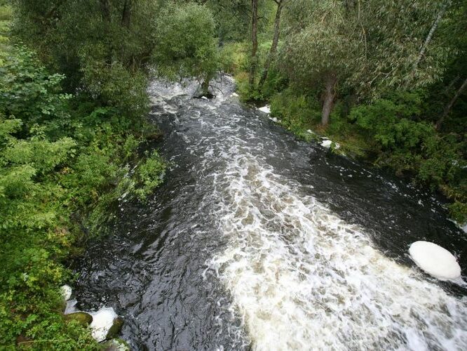 Maakond: Valgamaa Veekogu nimi: Väike Emajõgi Pildistamise aeg: 4. september 2008 Pildistaja: H. Timm Pildistamise koht: Restu pais Asimuut: