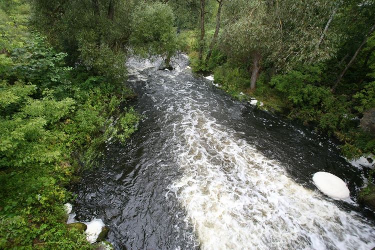 Maakond: Valgamaa Veekogu nimi: Väike Emajõgi Pildistamise aeg: 4. september 2008 Pildistaja: H. Timm Pildistamise koht: Restu pais Asimuut: