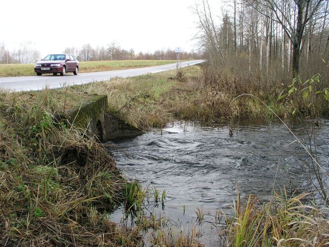 Maakond: Valgamaa Veekogu nimi: Väike Emajõgi Pildistamise aeg: 1. november 2008 Pildistaja: H. Timm Pildistamise koht: allpool Pühajärve Asimuut: