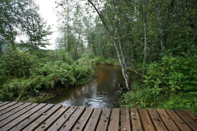 Maakond: Valgamaa Veekogu nimi: Väike Emajõgi Pildistamise aeg: 4. september 2008 Pildistaja: H. Timm Pildistamise koht: väike sild ülalpool Restu paisjärve vv Asimuut: