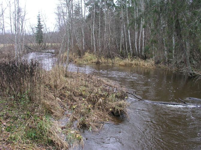 Maakond: Valgamaa Veekogu nimi: Väike Emajõgi Pildistamise aeg: 1. november 2008 Pildistaja: H. Timm Pildistamise koht: enne Restut Asimuut: