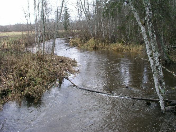 Maakond: Valgamaa Veekogu nimi: Väike Emajõgi Pildistamise aeg: 1. november 2008 Pildistaja: H. Timm Pildistamise koht: enne Restut Asimuut: