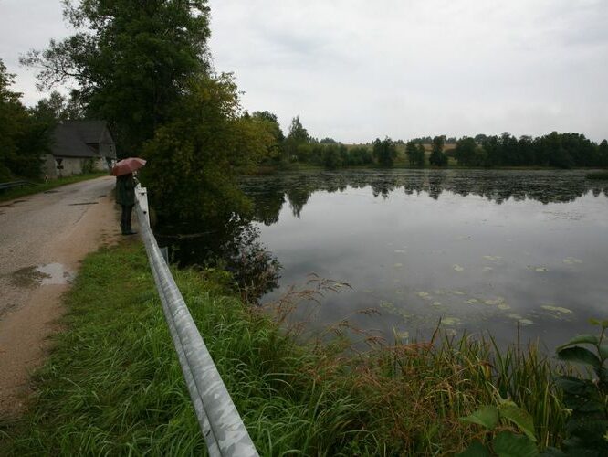 Maakond: Valgamaa Veekogu nimi: Väike Emajõgi Pildistamise aeg: 4. september 2008 Pildistaja: H. Timm Pildistamise koht: Restu paisjärv Asimuut: