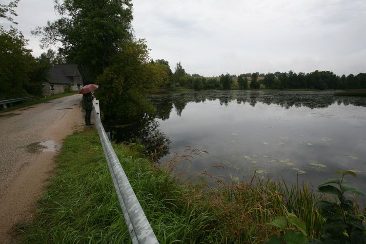 Maakond: Valgamaa Veekogu nimi: Väike Emajõgi Pildistamise aeg: 4. september 2008 Pildistaja: H. Timm Pildistamise koht: Restu paisjärv Asimuut: