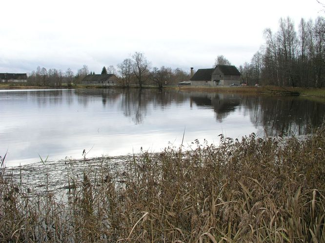 Maakond: Valgamaa Veekogu nimi: Väike Emajõgi Pildistamise aeg: 1. november 2008 Pildistaja: H. Timm Pildistamise koht: Restu paisjärv Asimuut: