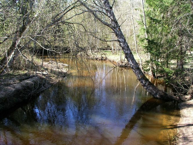 Maakond: Valgamaa Veekogu nimi: Väike Emajõgi Pildistamise aeg: 2. mai 2009 Pildistaja: H. Timm Pildistamise koht: sild Restust ülalpool Asimuut: