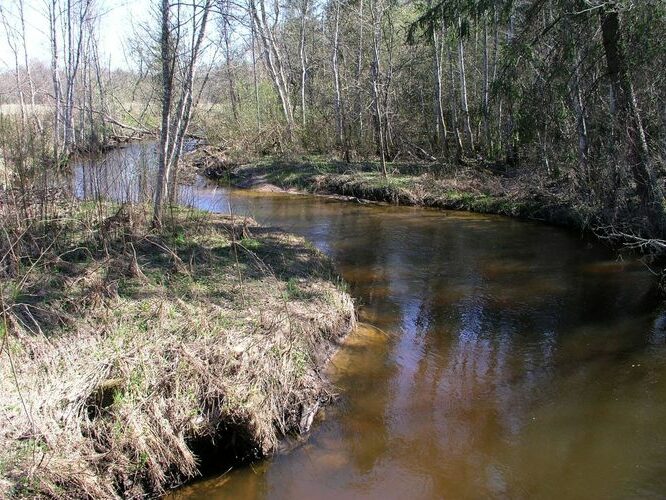 Maakond: Valgamaa Veekogu nimi: Väike Emajõgi Pildistamise aeg: 2. mai 2009 Pildistaja: H. Timm Pildistamise koht: sild Restust ülalpool Asimuut: