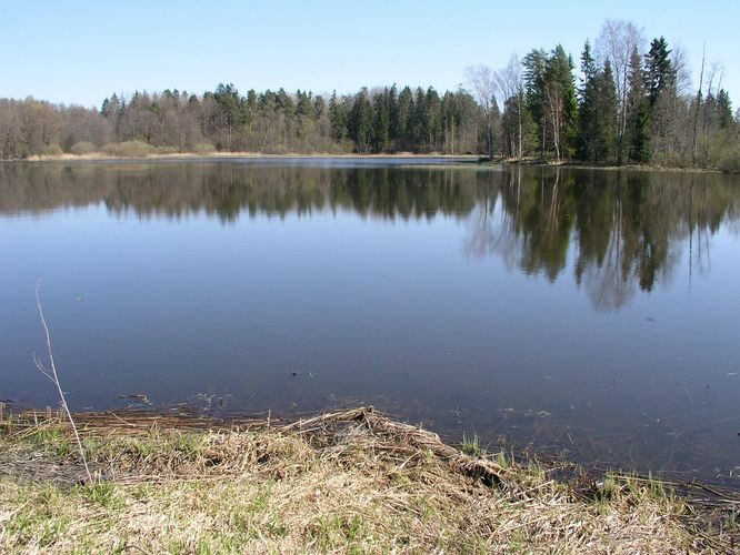 Maakond: Valgamaa Veekogu nimi: Väike Emajõgi Pildistamise aeg: 2. mai 2009 Pildistaja: H. Timm Pildistamise koht: Restu pais Asimuut: