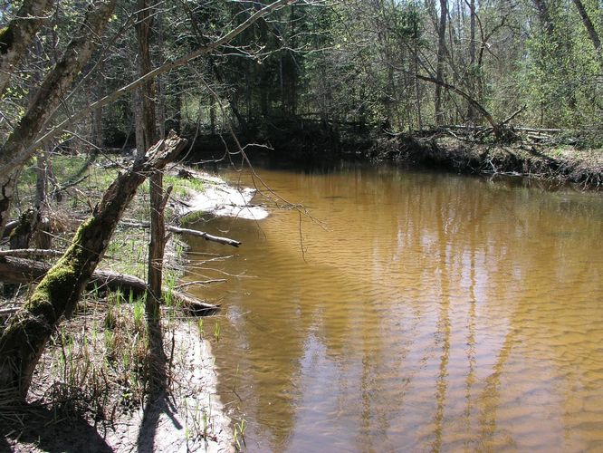 Maakond: Valgamaa Veekogu nimi: Väike Emajõgi Pildistamise aeg: 2. mai 2009 Pildistaja: H. Timm Pildistamise koht: sild Restust ülalpool Asimuut: