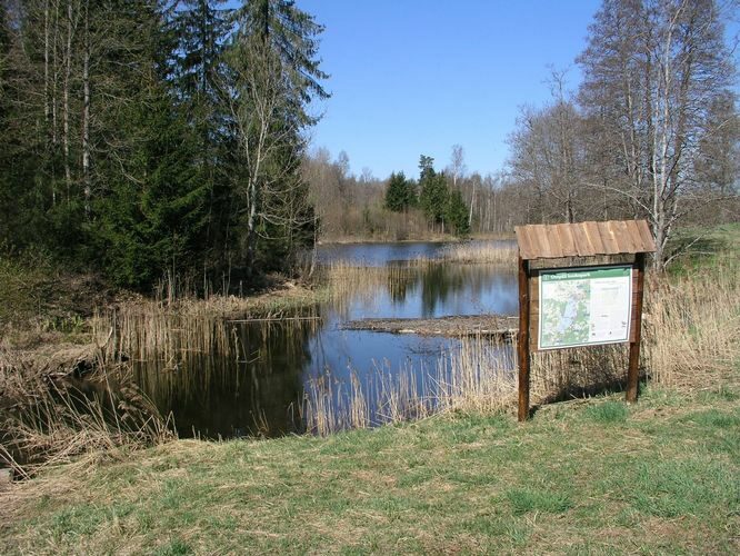 Maakond: Valgamaa Veekogu nimi: Väike Emajõgi Pildistamise aeg: 2. mai 2009 Pildistaja: H. Timm Pildistamise koht: Pühajärve väljavool Asimuut: