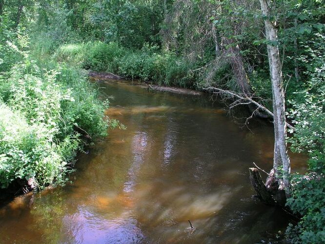 Maakond: Valgamaa Veekogu nimi: Väike Emajõgi Pildistamise aeg: 2. mai 2009 Pildistaja: H. Timm Pildistamise koht: sild Restust ülalpool Asimuut: