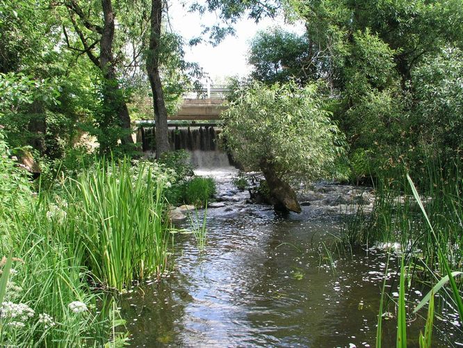 Maakond: Valgamaa Veekogu nimi: Väike Emajõgi Pildistamise aeg: 2. mai 2009 Pildistaja: H. Timm Pildistamise koht: Restu paisu all Asimuut: