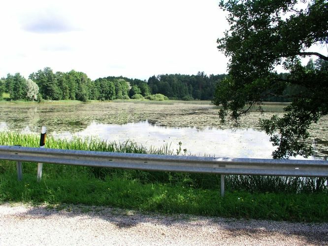 Maakond: Valgamaa Veekogu nimi: Väike Emajõgi Pildistamise aeg: 27. juuli 2009 Pildistaja: H. Timm Pildistamise koht: Restu paisjärv Asimuut: