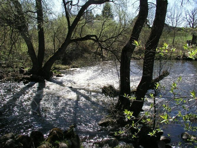 Maakond: Valgamaa Veekogu nimi: Väike Emajõgi Pildistamise aeg: 2. mai 2009 Pildistaja: H. Timm Pildistamise koht: Restu pais Asimuut: