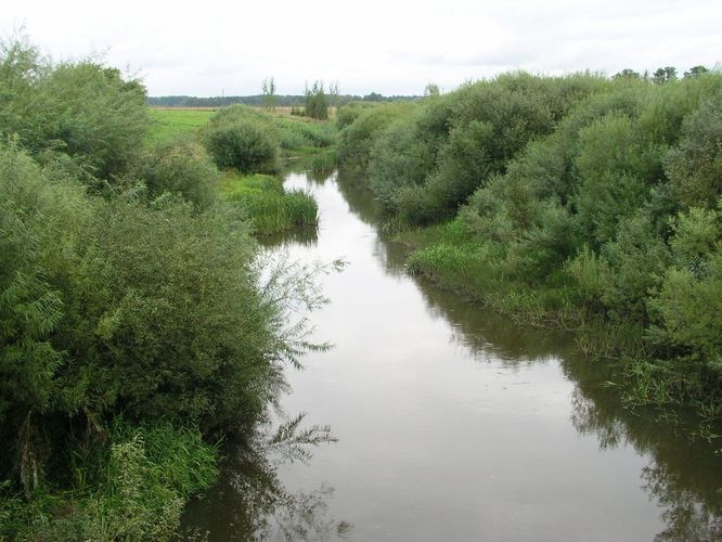 Maakond: Valgamaa Veekogu nimi: Väike Emajõgi Pildistamise aeg: august 2009 Pildistaja: H. Timm Pildistamise koht: Iigaste Asimuut: