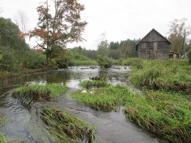 Maakond: Valgamaa Veekogu nimi: Väike Emajõgi Pildistamise aeg: 13. september 2010 Pildistaja: H. Timm Pildistamise koht: allpool Sangaste paisjärve 1 km Asimuut: