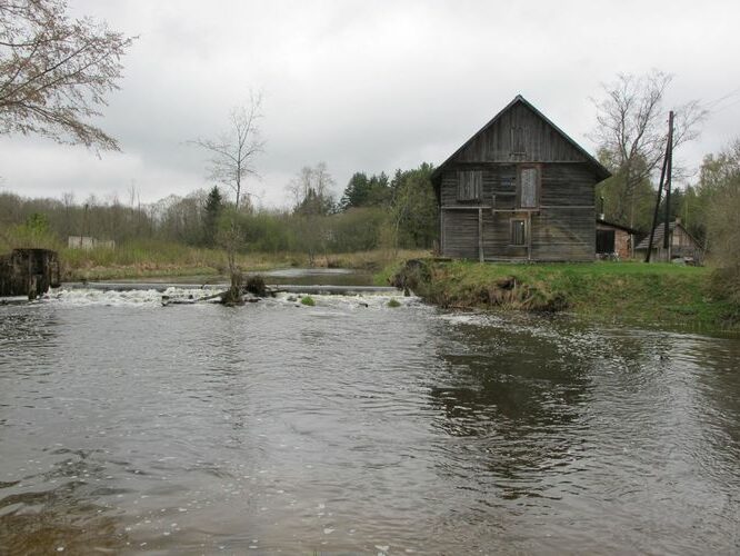 Maakond: Valgamaa Veekogu nimi: Väike Emajõgi Pildistamise aeg: 4. mai 2010 Pildistaja: H. Timm Pildistamise koht: Sangaste paisjärvest ca 1km pv Asimuut: