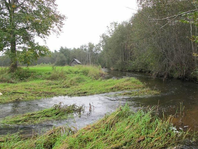 Maakond: Valgamaa Veekogu nimi: Väike Emajõgi Pildistamise aeg: 13. september 2010 Pildistaja: H. Timm Pildistamise koht: allpool Sangaste paisjärve 1 km Asimuut: