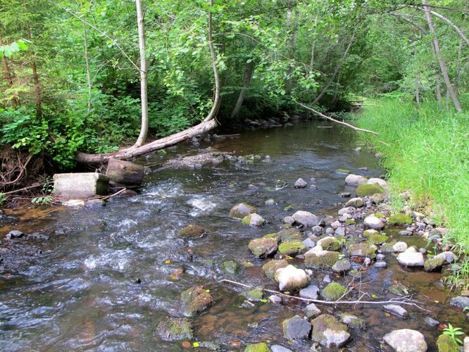 Maakond: Valgamaa Veekogu nimi: Väike Emajõgi Pildistamise aeg: juuli 2011 Pildistaja: H. Timm Pildistamise koht: Märdi Asimuut: