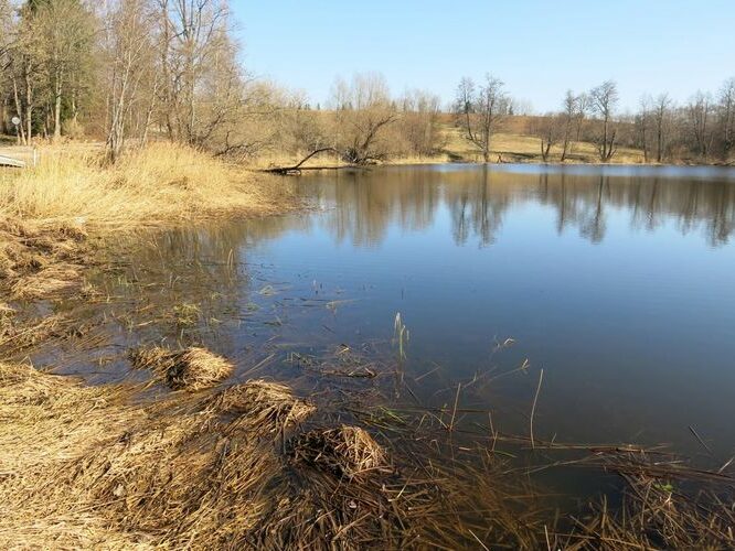 Maakond: Valgamaa Veekogu nimi: Väike Emajõgi Pildistamise aeg: 2. mai 2013 Pildistaja: H. Timm Pildistamise koht: Restu paisjärv Asimuut: