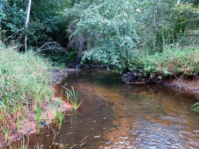 Maakond: Valgamaa Veekogu nimi: Väike Emajõgi Pildistamise aeg: 3. september 2013 Pildistaja: H. Timm Pildistamise koht: enne Restut Asimuut: