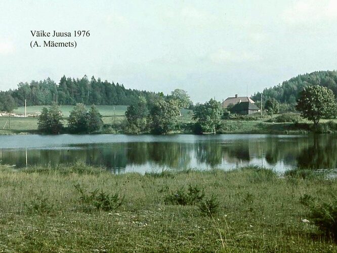 Maakond: Valgamaa Veekogu nimi: Väike Juusa järv Pildistamise aeg: 1976 Pildistaja: A. Mäemets Pildistamise koht: teadmata Asimuut: