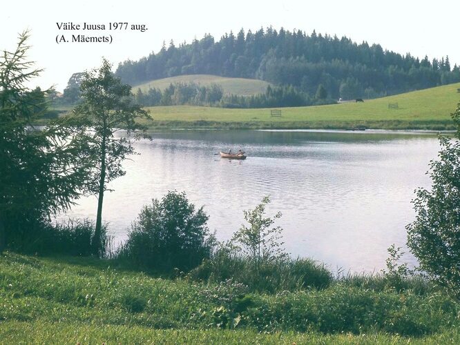 Maakond: Valgamaa Veekogu nimi: Väike Juusa järv Pildistamise aeg: august 1977 Pildistaja: A. Mäemets Pildistamise koht: teadmata Asimuut: