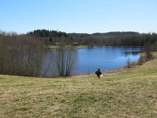 Maakond: Valgamaa Veekogu nimi: Väike Juusa järv Pildistamise aeg: 6. mai 2013 Pildistaja: H. Timm Pildistamise koht: teadmata Asimuut: