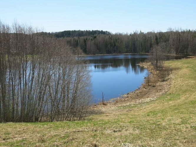 Maakond: Valgamaa Veekogu nimi: Väike Juusa järv Pildistamise aeg: 6. mai 2013 Pildistaja: H. Timm Pildistamise koht: teadmata Asimuut: