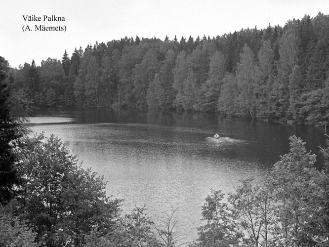 Maakond: Võrumaa Veekogu nimi: Väike Palkna järv Pildistamise aeg: teadmata Pildistaja: A. Mäemets Pildistamise koht: NE kaldalt Asimuut: SW