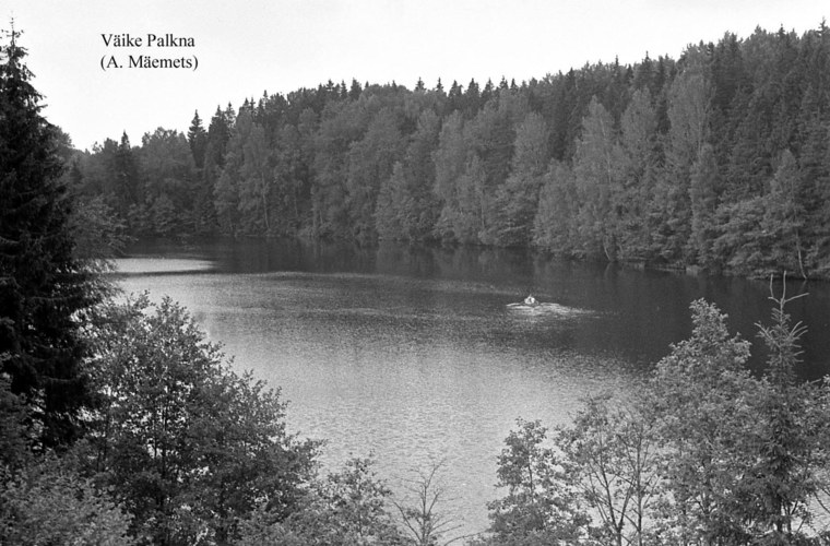 Maakond: Võrumaa Veekogu nimi: Väike Palkna järv Pildistamise aeg: teadmata Pildistaja: A. Mäemets Pildistamise koht: NE kaldalt Asimuut: SW