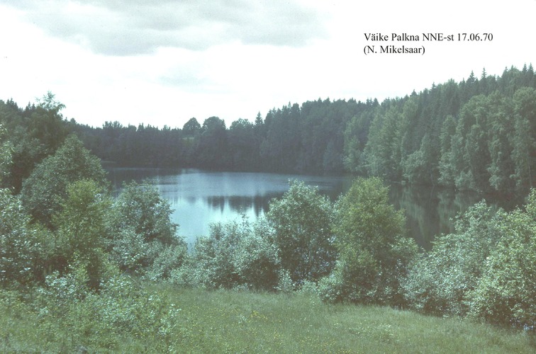 Maakond: Võrumaa Veekogu nimi: Väike Palkna järv Pildistamise aeg: 17. juuni 1970 Pildistaja: N. Mikelsaar Pildistamise koht: NE kaldalt Asimuut: SSW