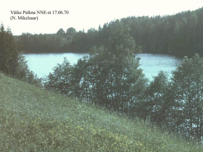 Maakond: Võrumaa Veekogu nimi: Väike Palkna järv Pildistamise aeg: 17. juuni 1970 Pildistaja: N. Mikelsaar Pildistamise koht: NE kaldalt Asimuut: SSW